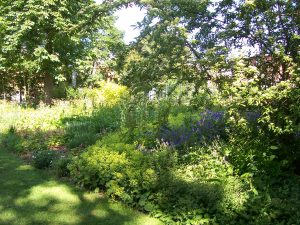Nordbeet im Juni 2010