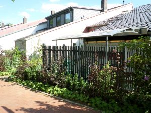 Im Sommer nach der Pflanzung