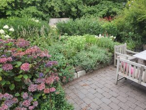 Hochbeet mit Stauden an der Terrasse
