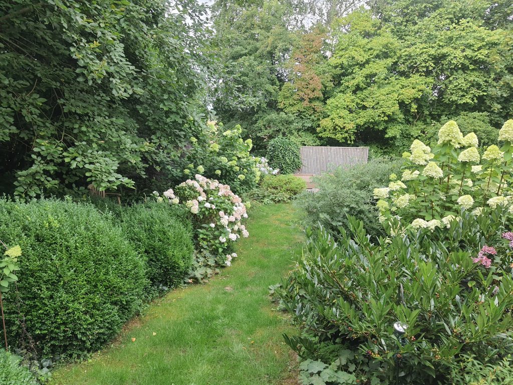 Rasenweg zwischen Beeten