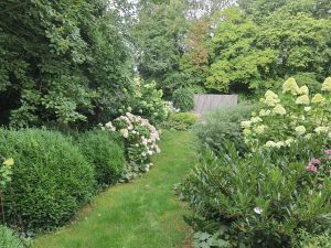 Rasenweg zwischen Beeten
