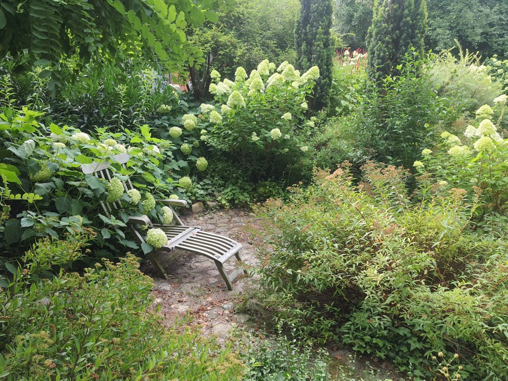 Rispenhortensien rahmen diesen Sitzplatz