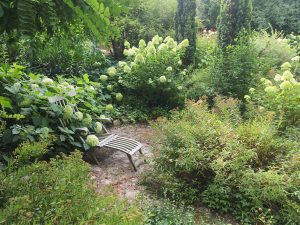 Rispemhortensien rahmen diesen Sitzplatz